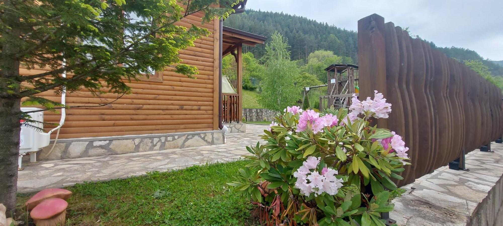 Mini Complex Rilski Terasi Sapareva Banya Eksteriør billede