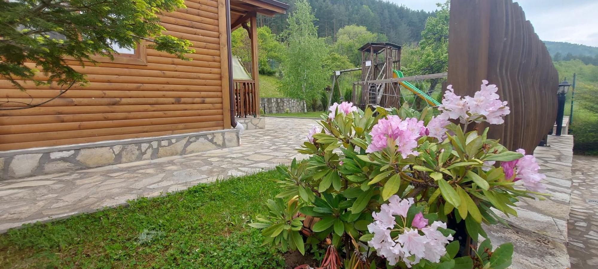 Mini Complex Rilski Terasi Sapareva Banya Eksteriør billede